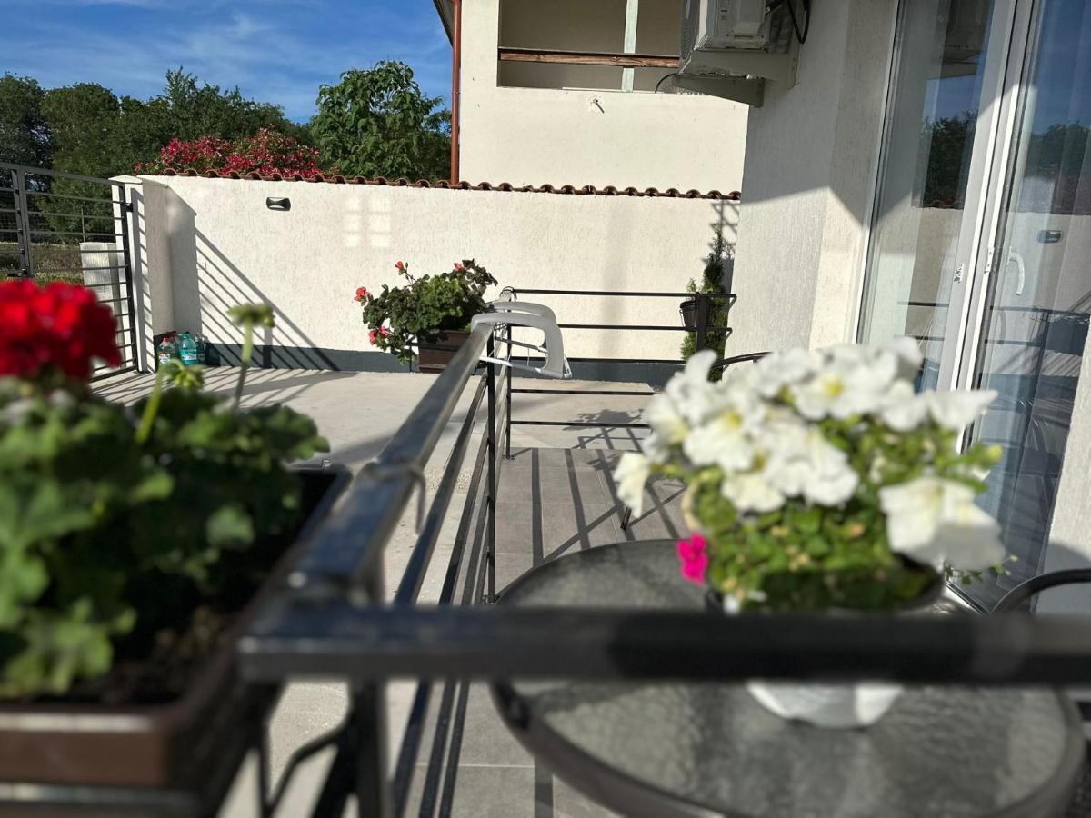 Casa Dramar Apartment